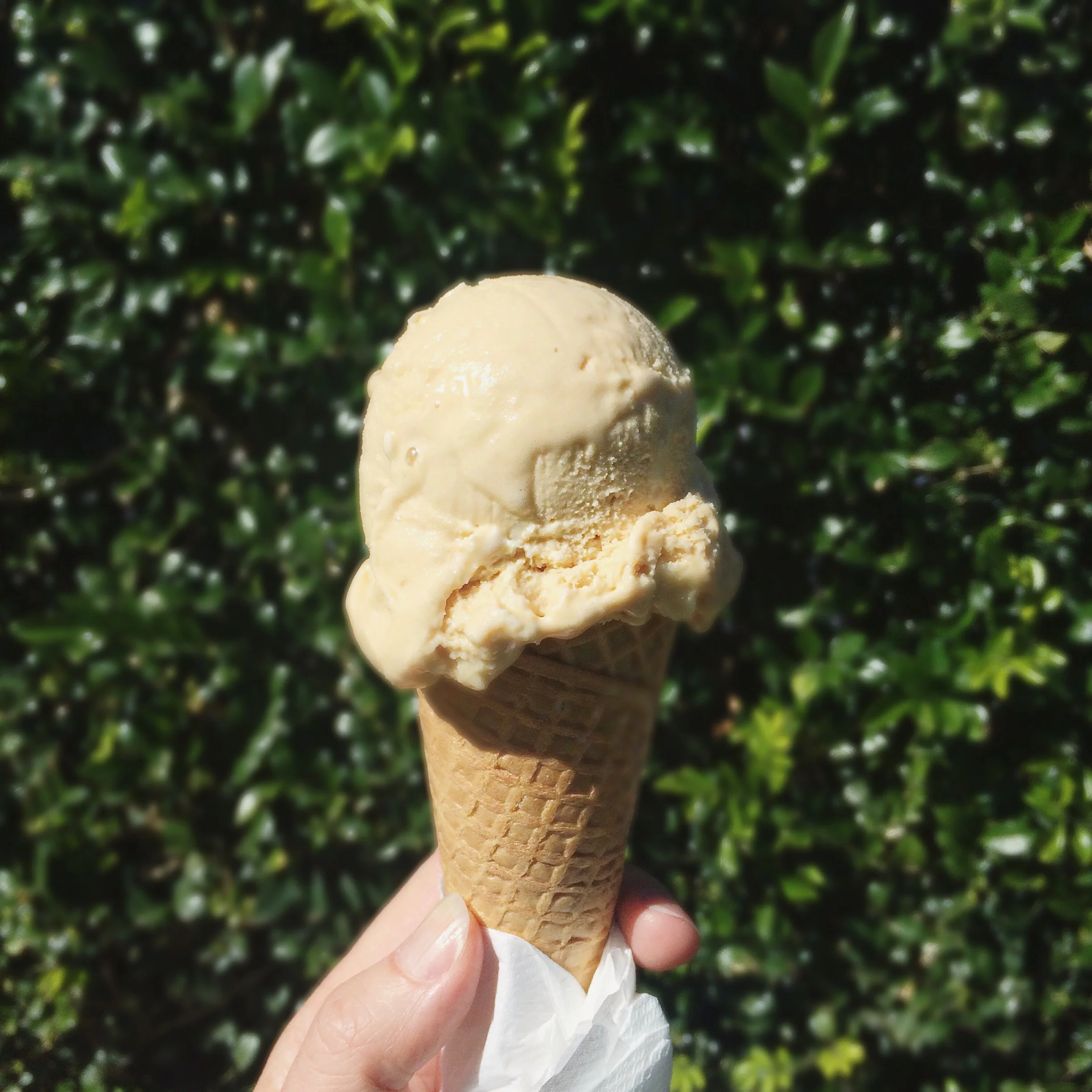 Salted Caramel Gelato from Messina