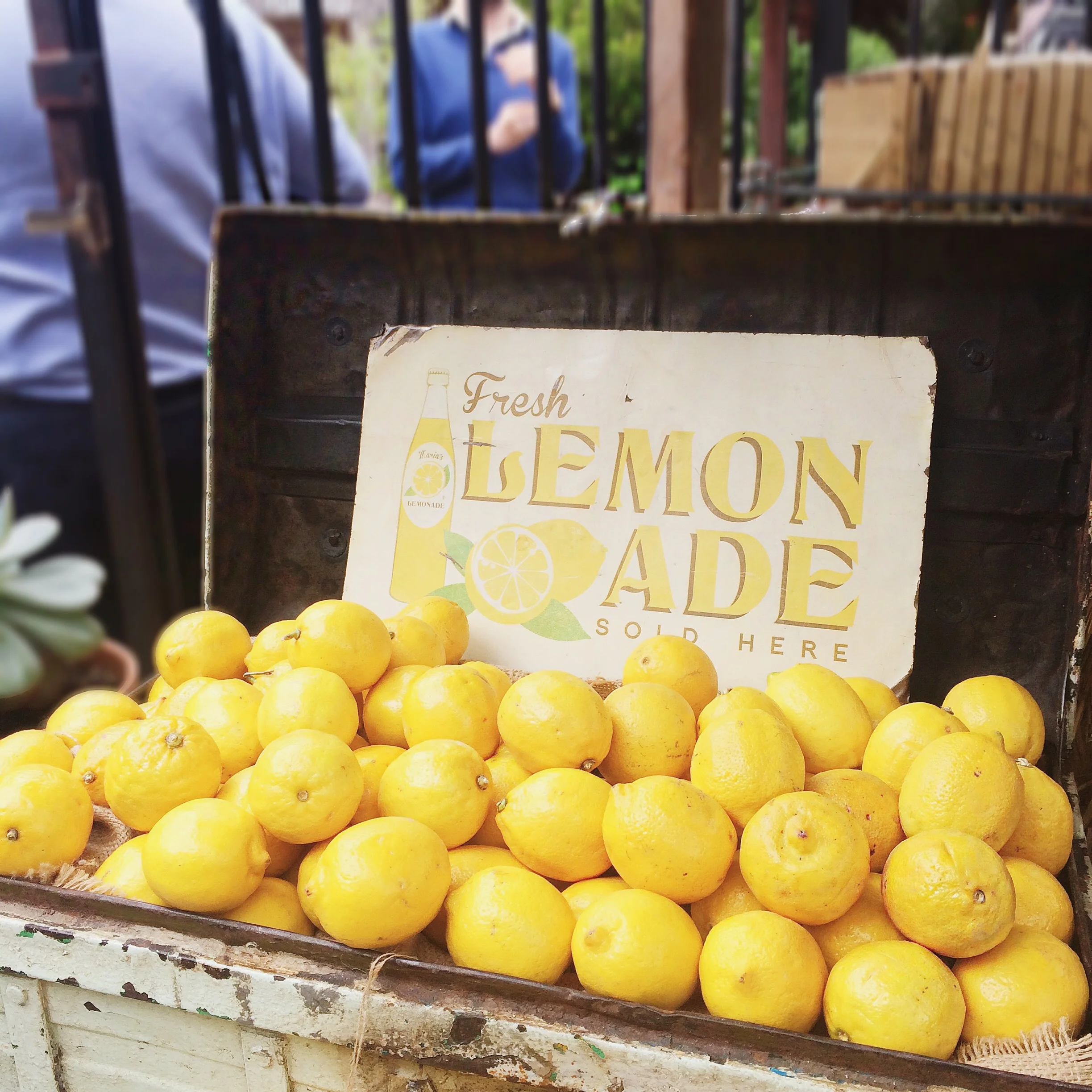 Lemons at The Grounds