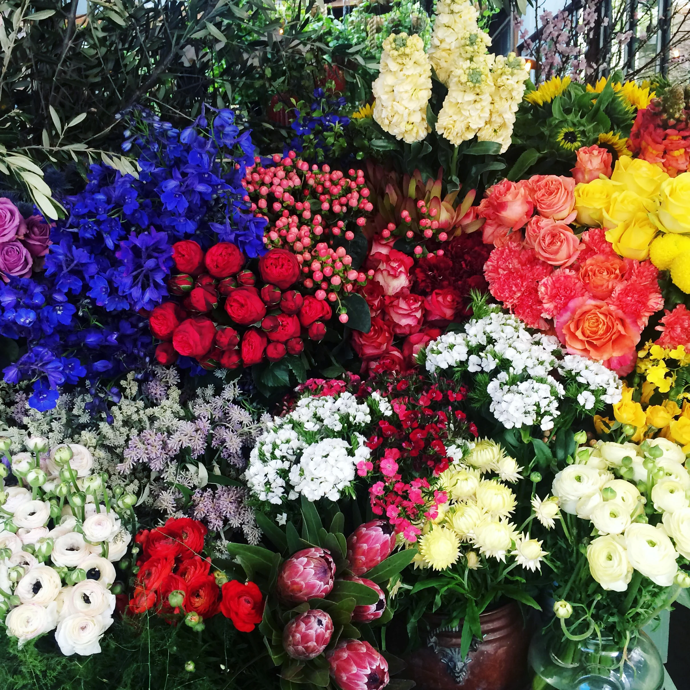 Flowers at The Grounds
