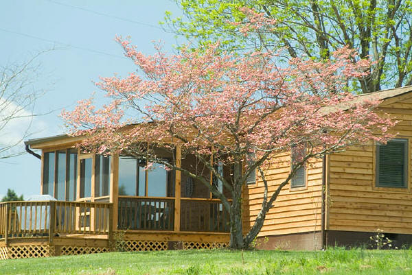 Screened Back Porch of Pond House