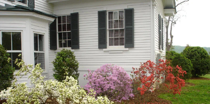Spring Azaleas Around Back