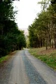 Wolf Trap Drive
