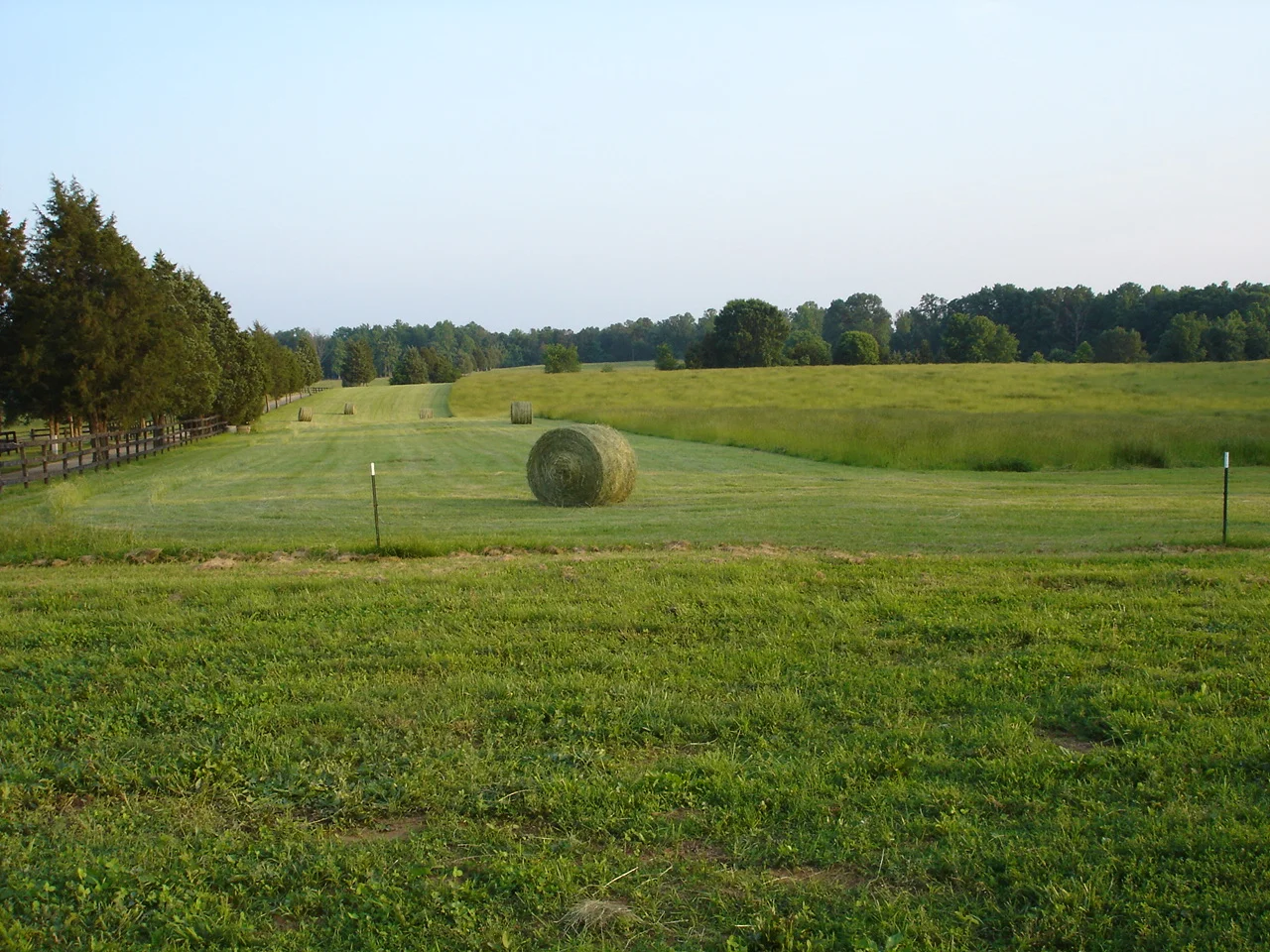 Green Fields