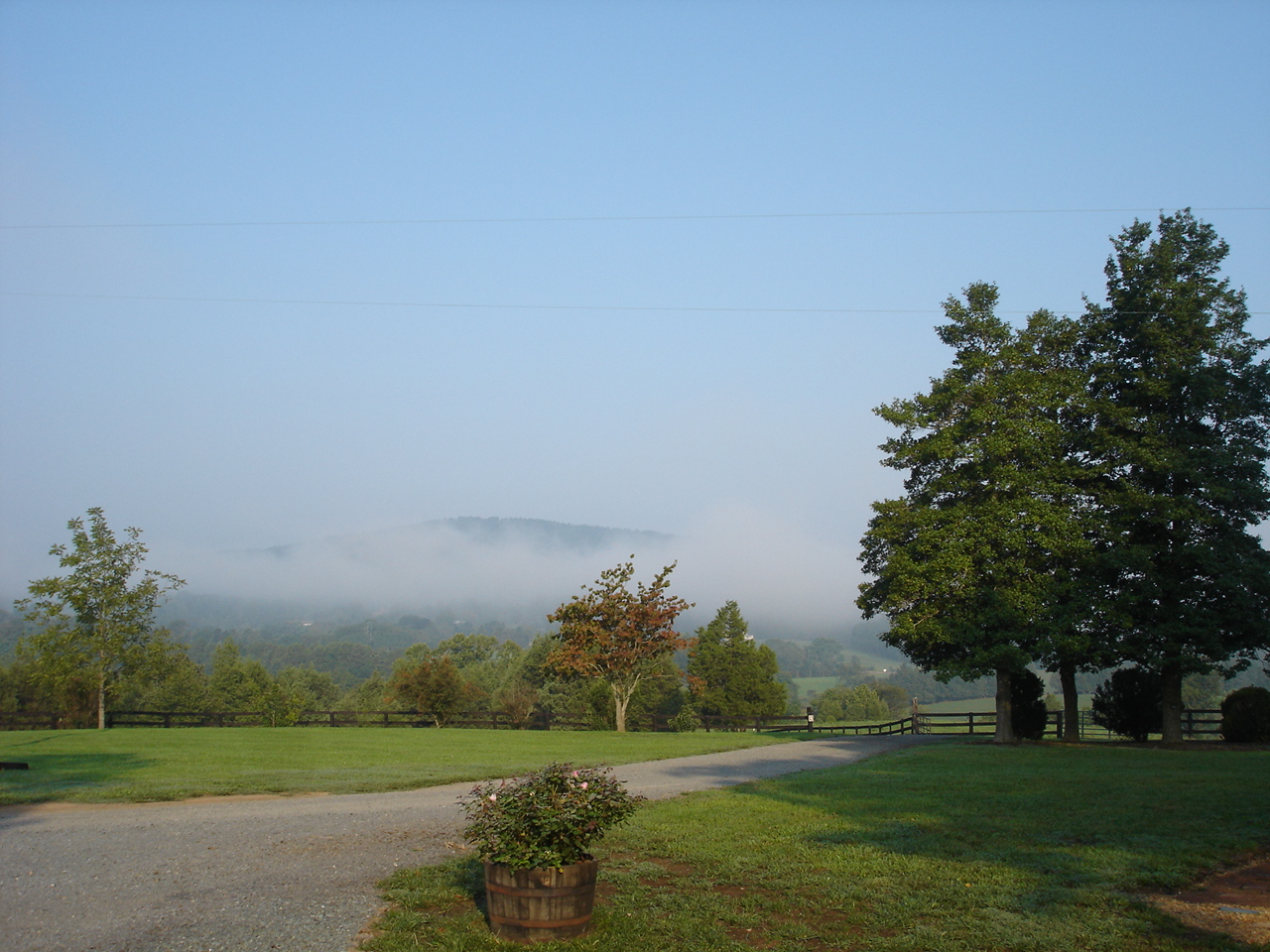 Foggy Morning