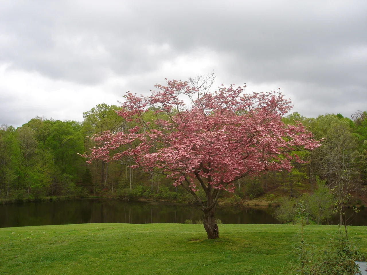 Farm - 2006 035.jpg