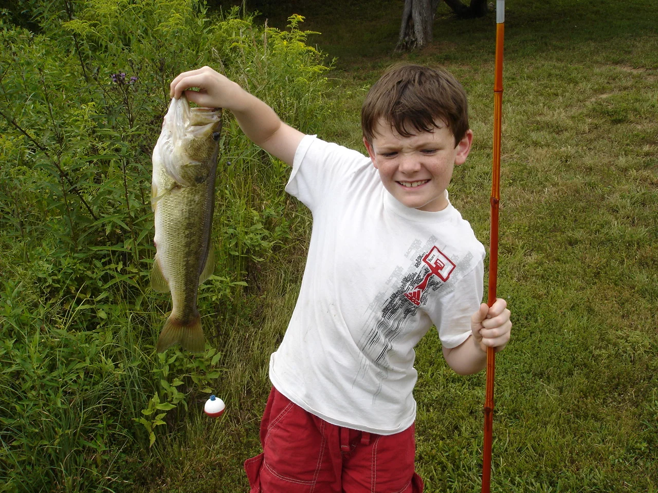Pretty Good Bass