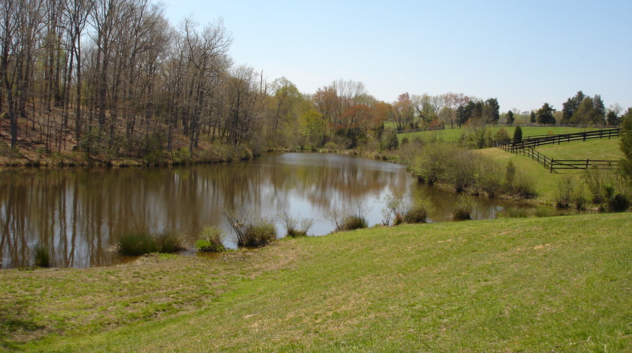 Pond in Late Fall