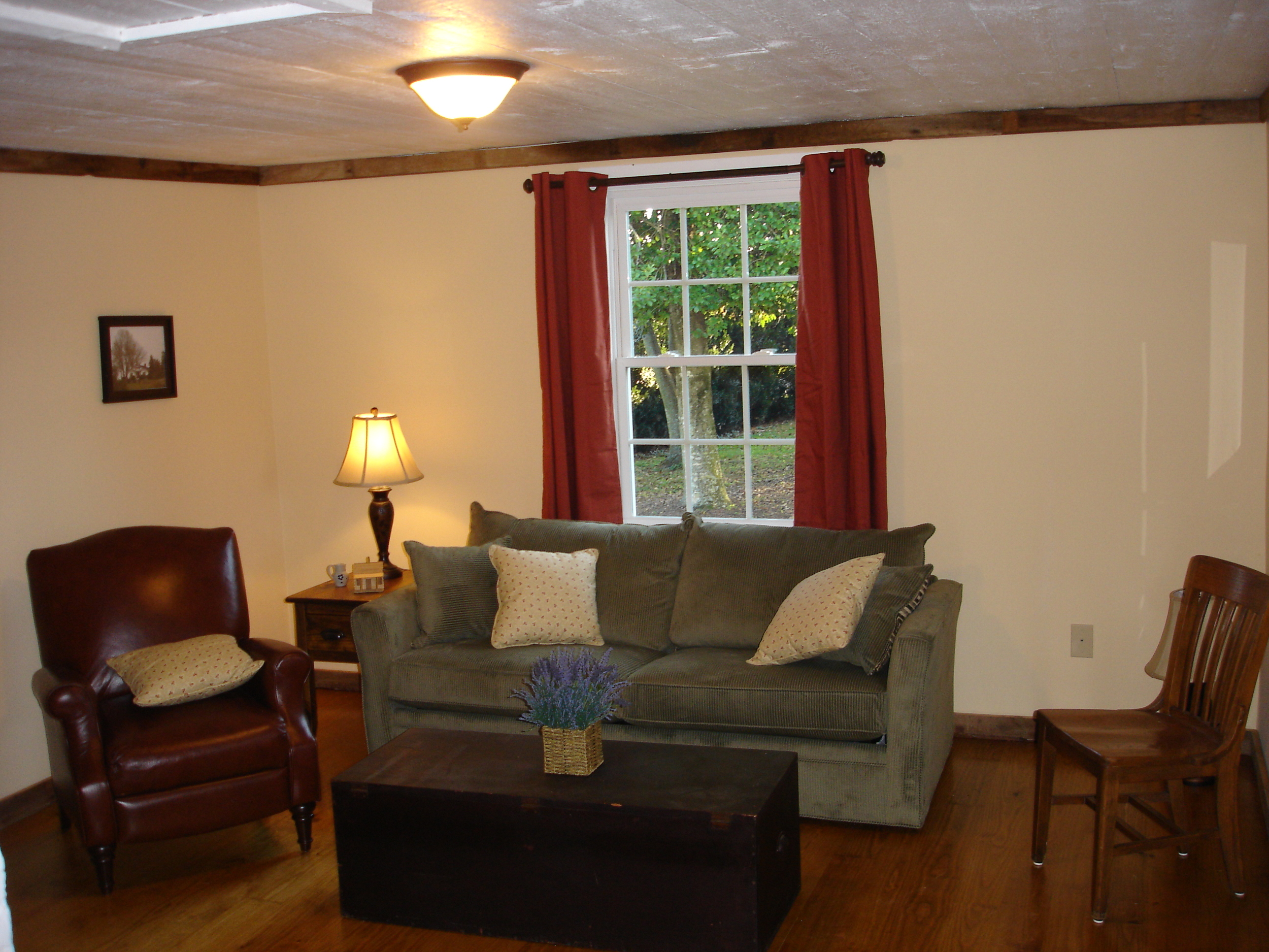 Living Area With Sleeper Sofa