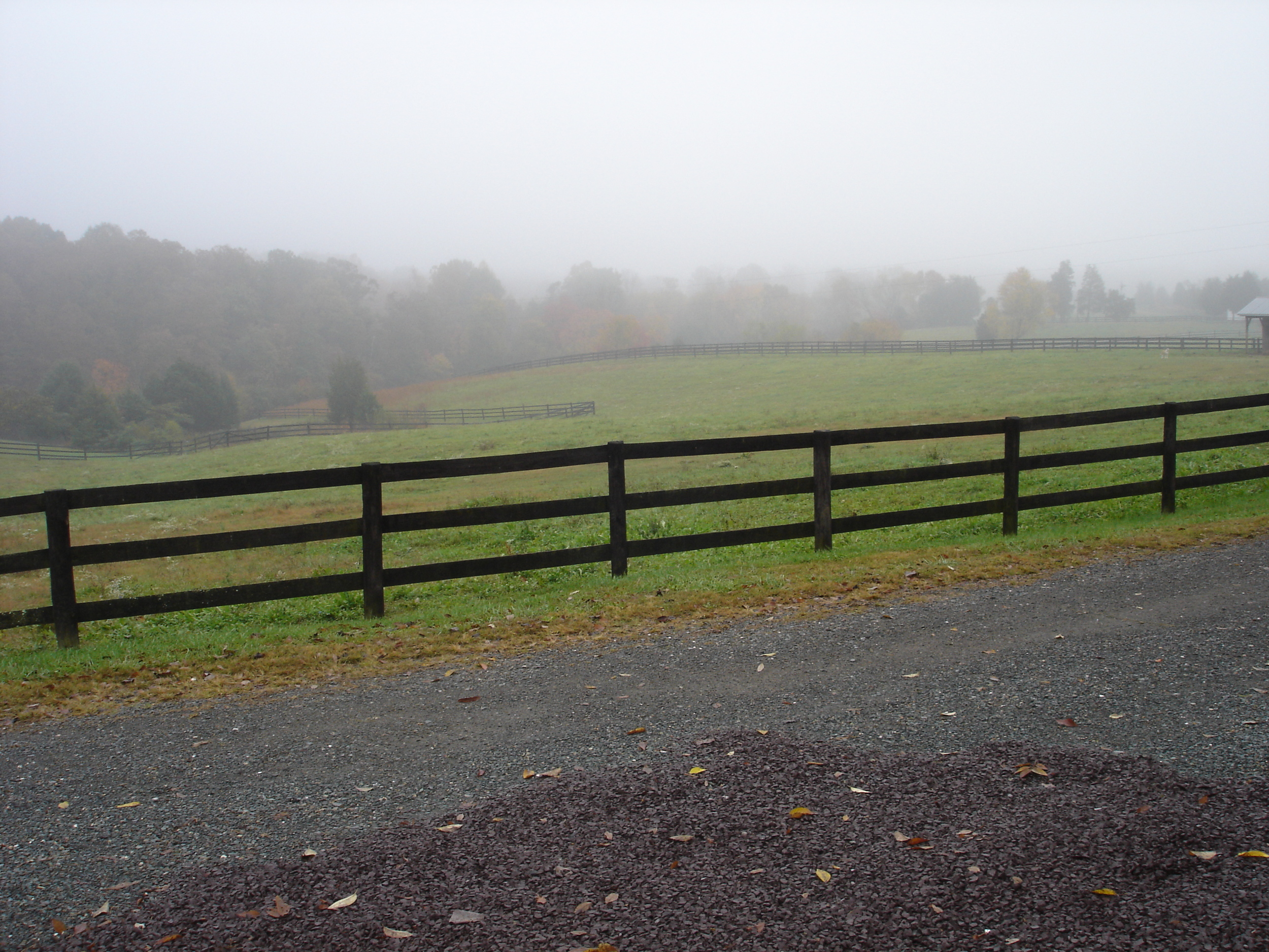 Morning Fog, From the Patio