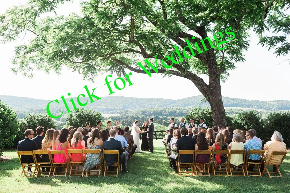 WEB-0196.jpg