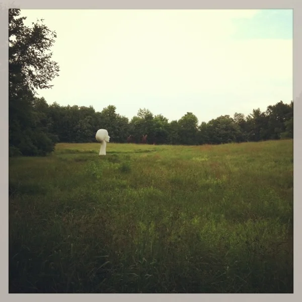 Transient