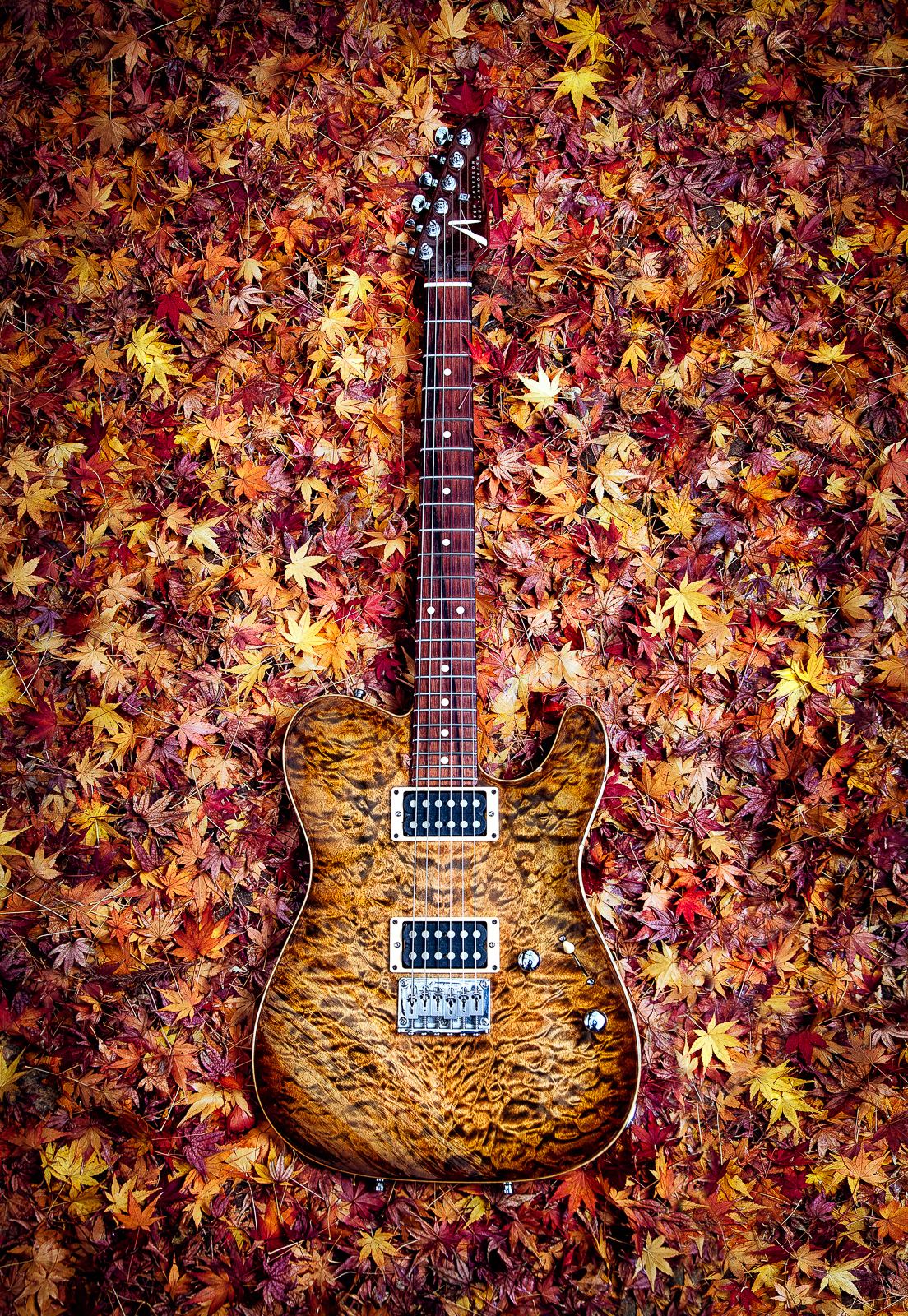 Tom Anderson Fall_.jpg