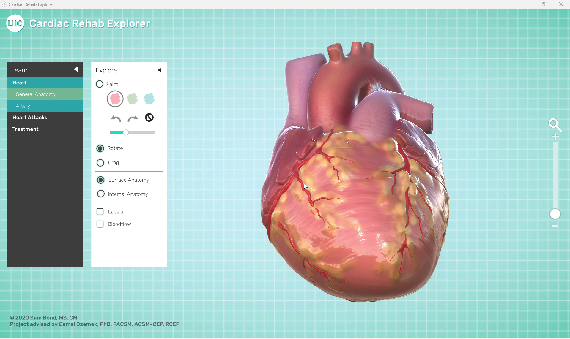 cardiac-rehab-explorer-01-heart-overview.png