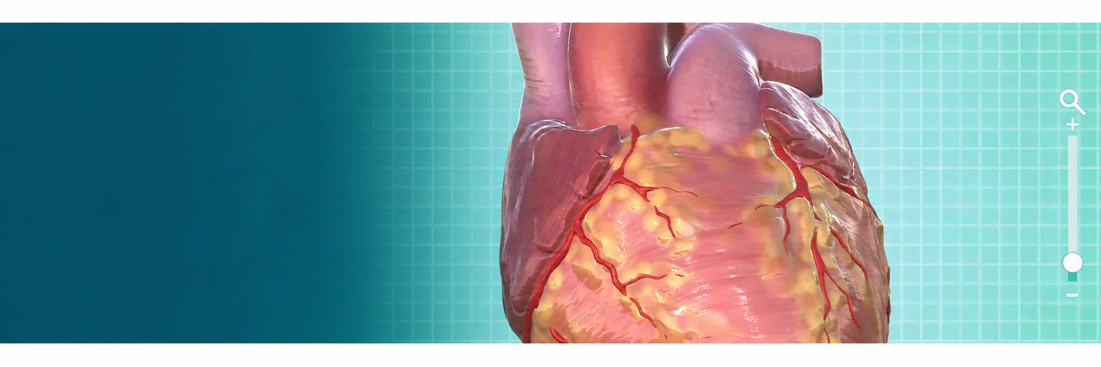 cre_banner.png