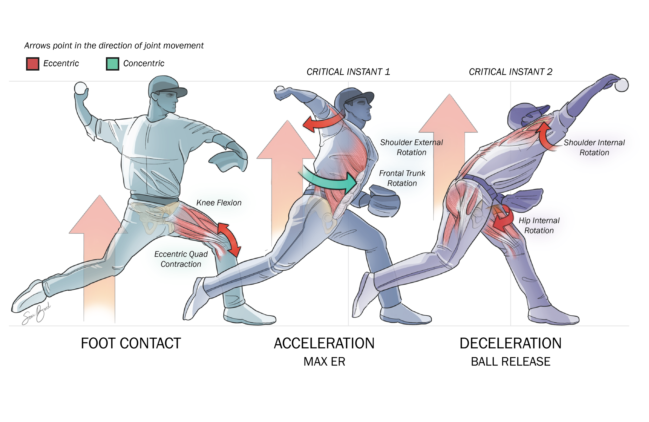 Overarm Throw Illustration