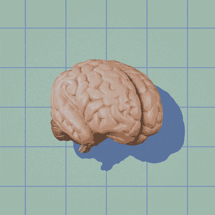 Klok_v2.gif