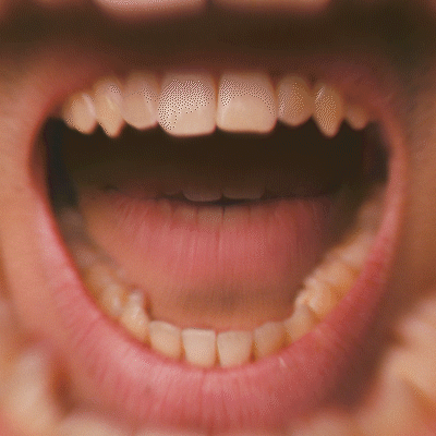 CINEV_GIF_SQUARE_400px_MOND.gif
