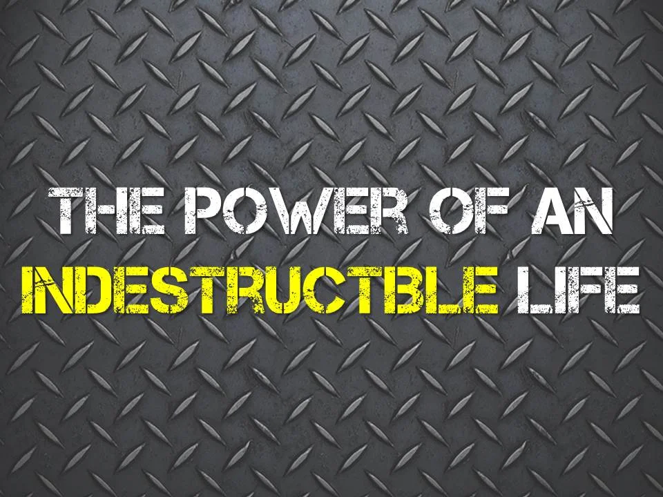 Indestructible Life.jpg