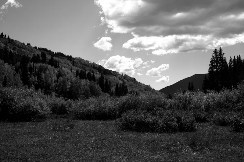 IMG_9096.jpg
