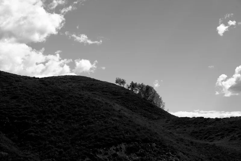 IMG_9108.jpg