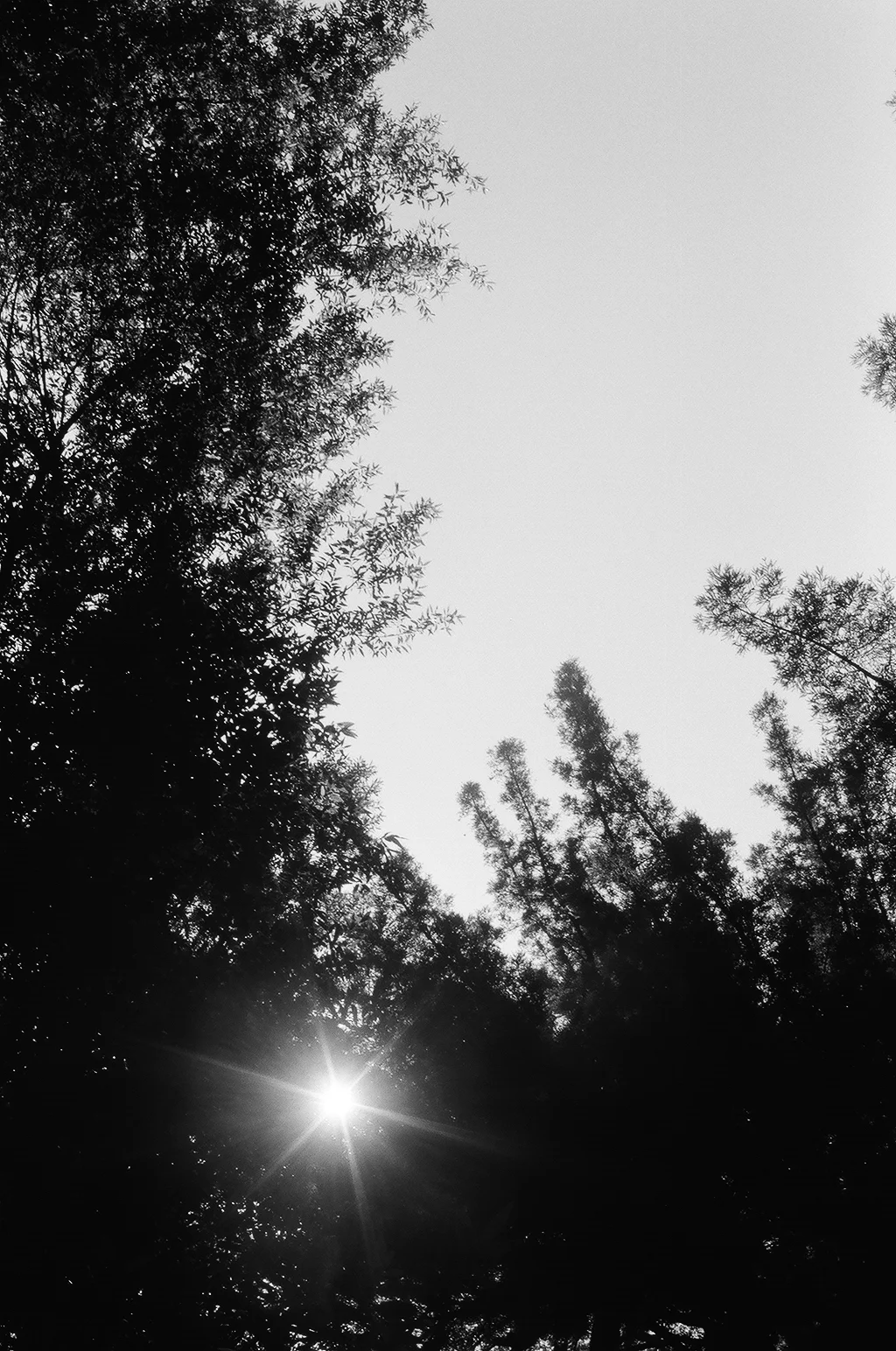 73020029.JPG