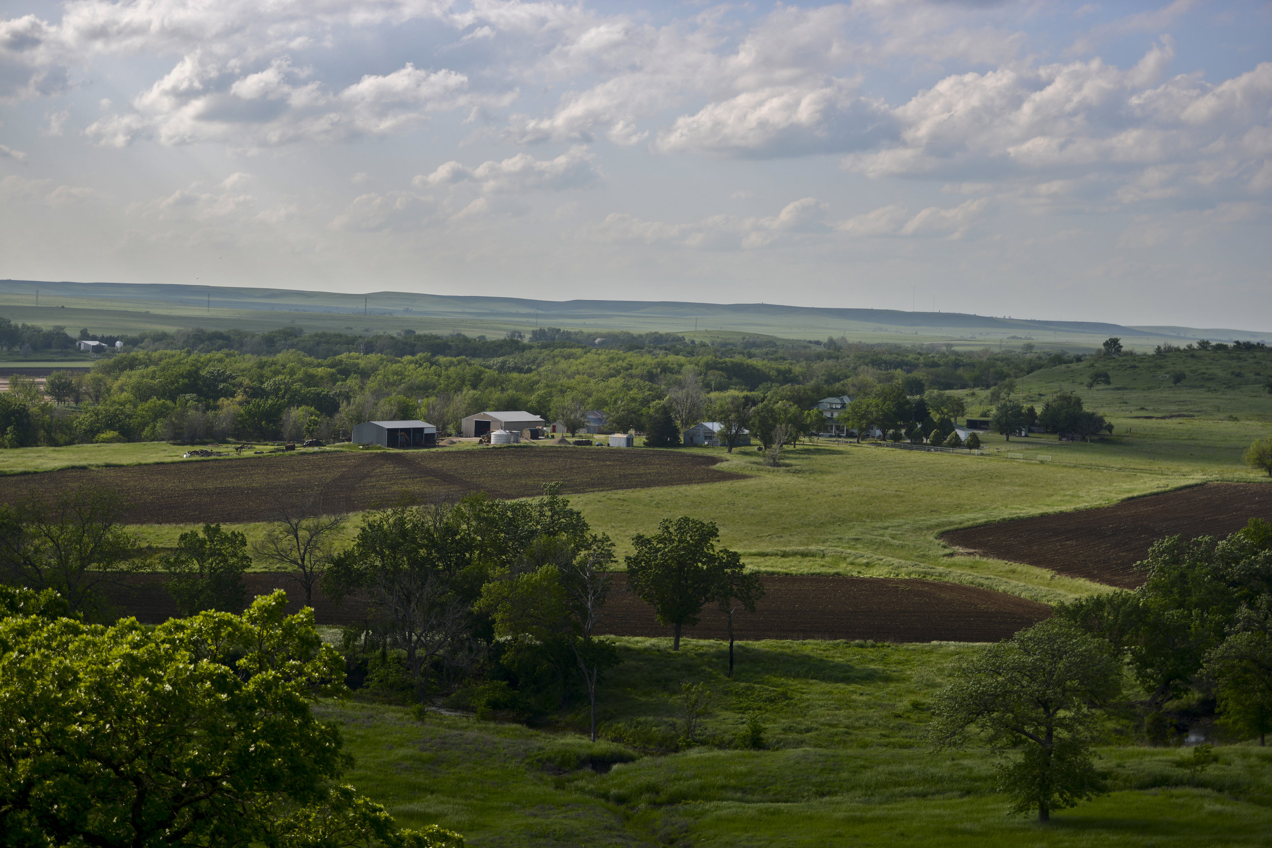 May 25, 2013 - Olson's rock house, old rock house, Barney's hill, and Barney farming (Edited & Compressed)_0075.jpg