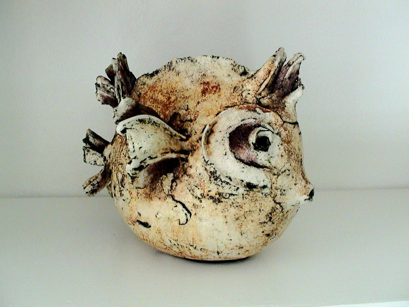 blanco y anaranjado.JPG