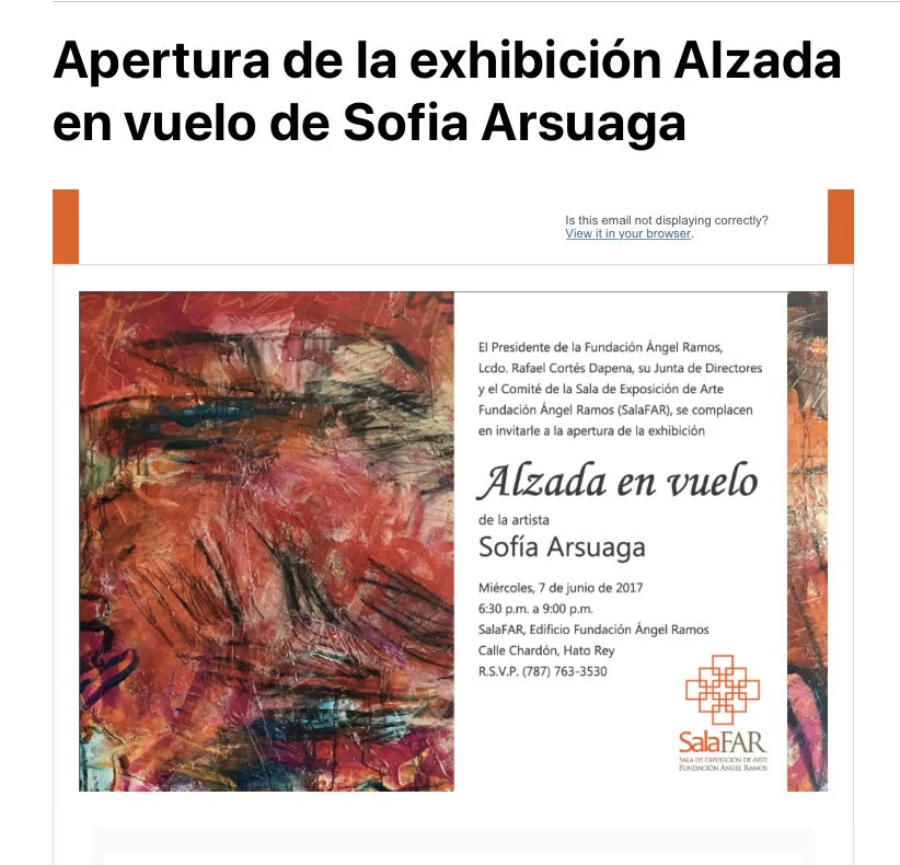 Alzada en vuelo-exhibition-sofia arsuaga-IMG_A645499DF581-1.jpeg