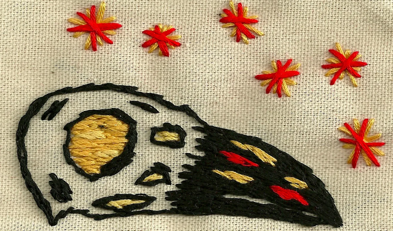 Crow Skull 2013