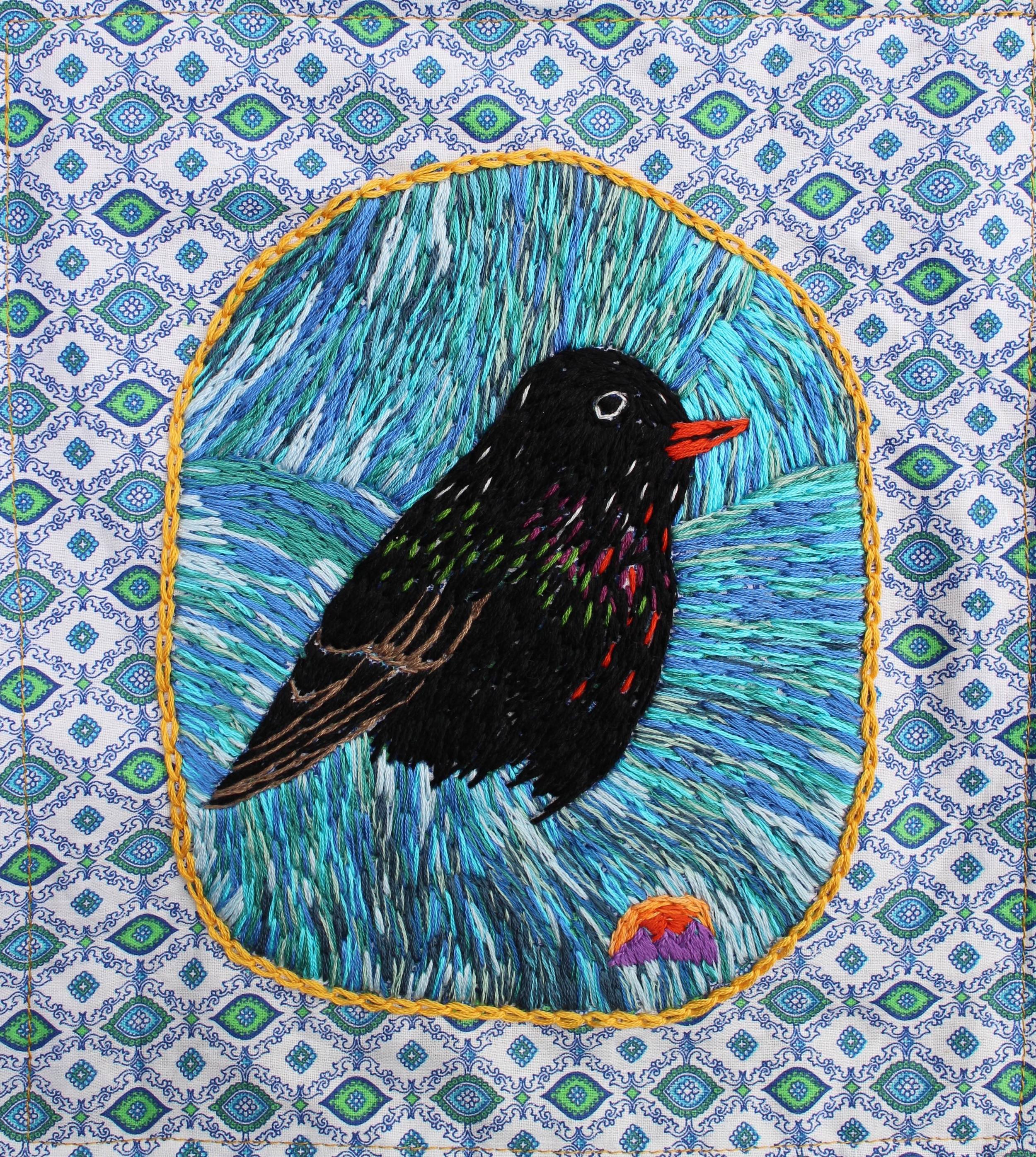 The European Starling (Sturnus vulgaris), introduced to Central Park, NYC in 1890/1891