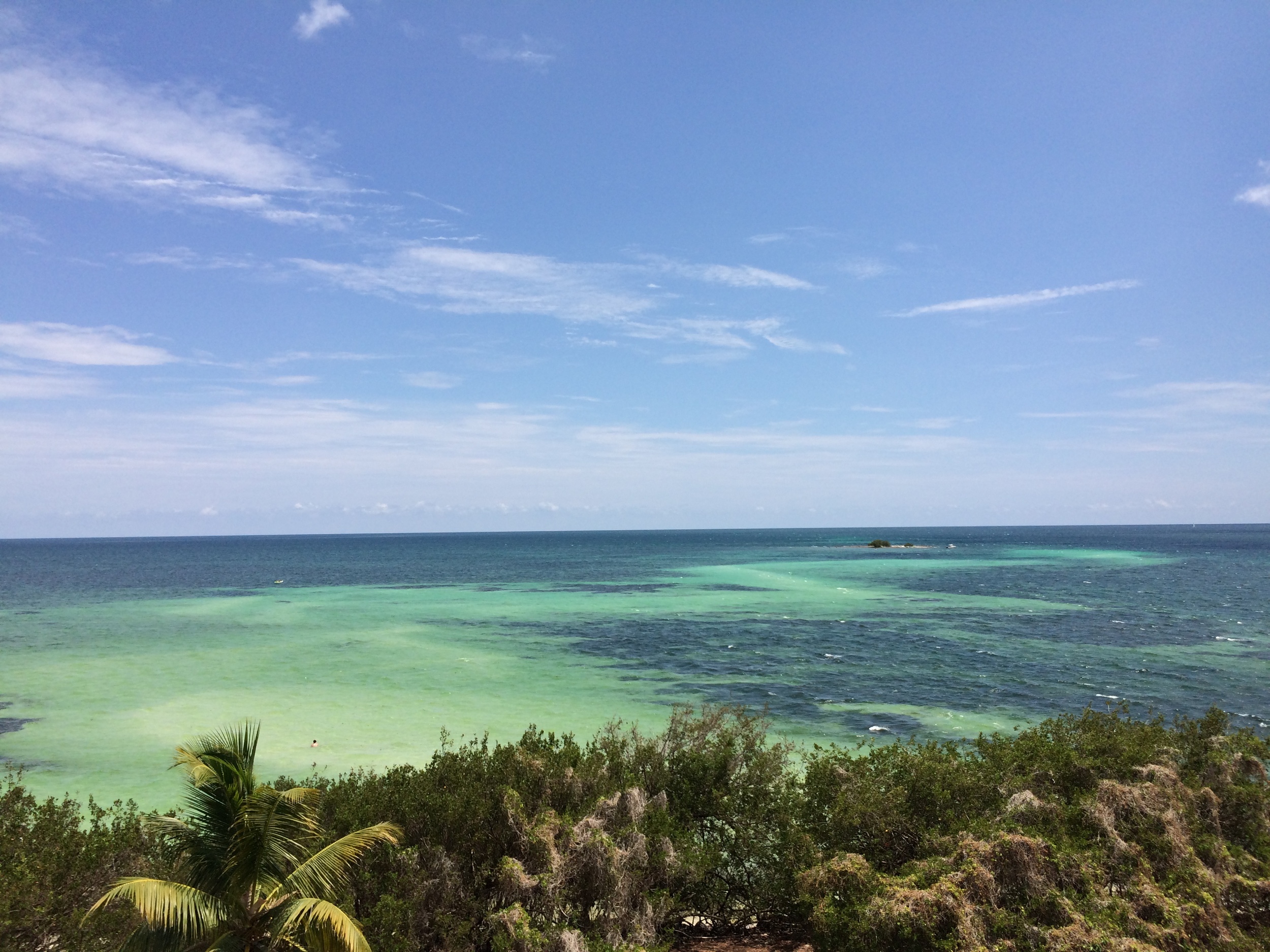 The view from Bahia Honda in the keys. There are reports of Common Mynas as far south as Key West.