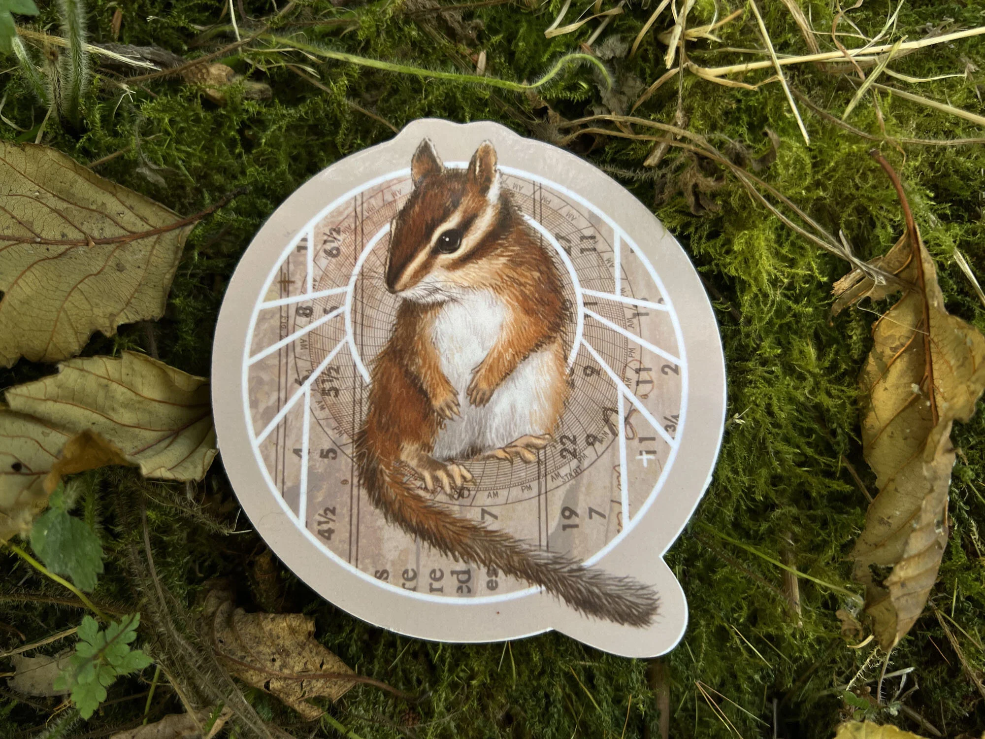 C88BEDC8-018F-4B83-BD7B-C161B1A3617B