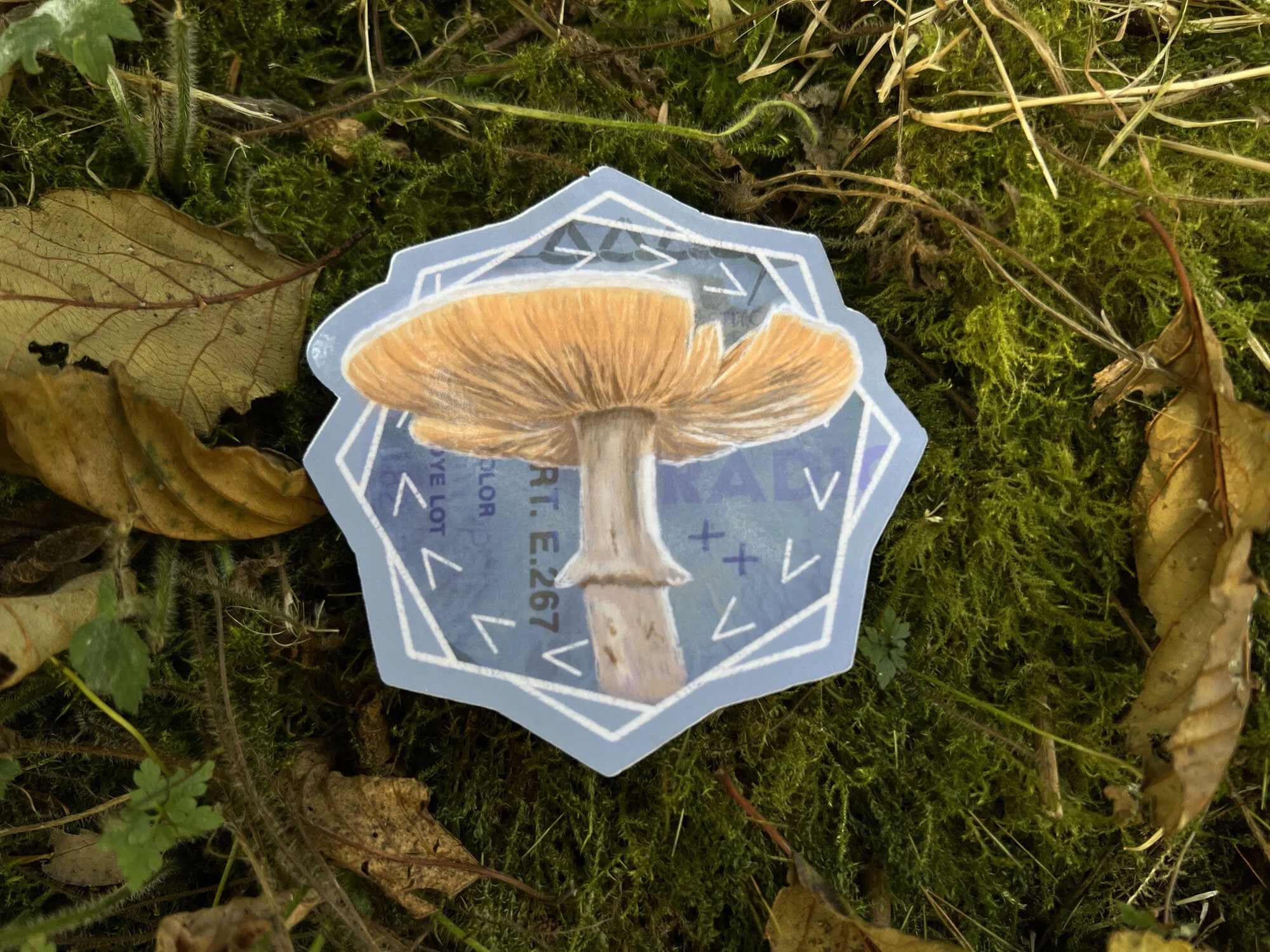 5FD6F6FD-7C19-403D-A1CC-C813F3F682C0