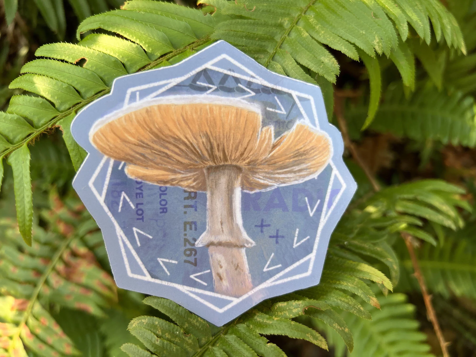 0875A2D9-E62D-4AAA-9869-630FC1A8BC4F