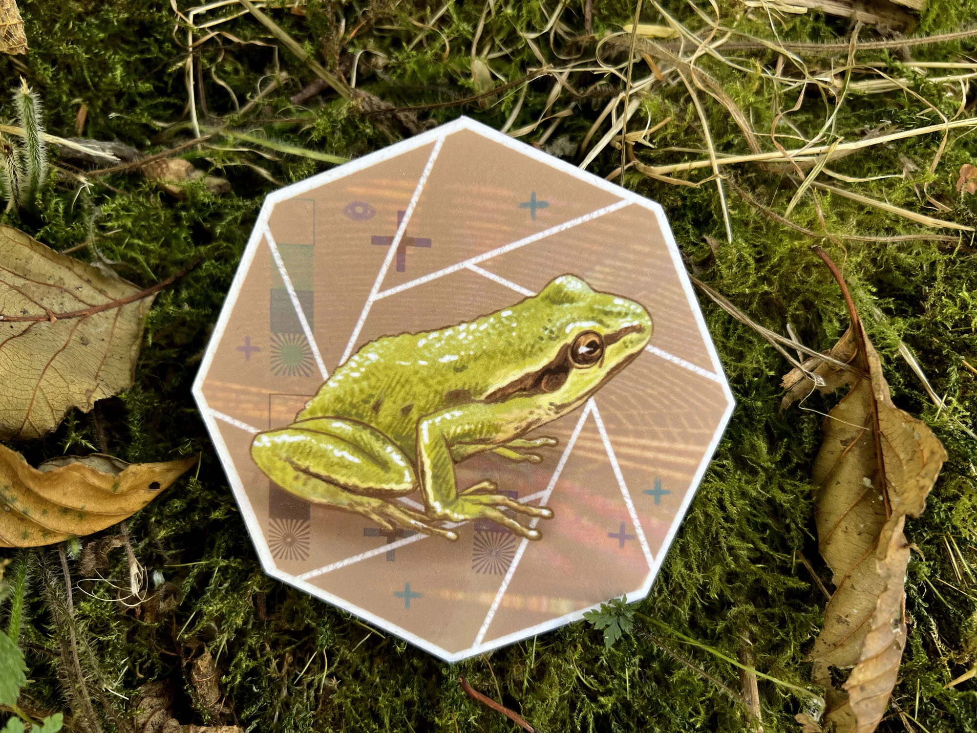 E154C804-3E8A-434F-A110-D273FD9AB1AE