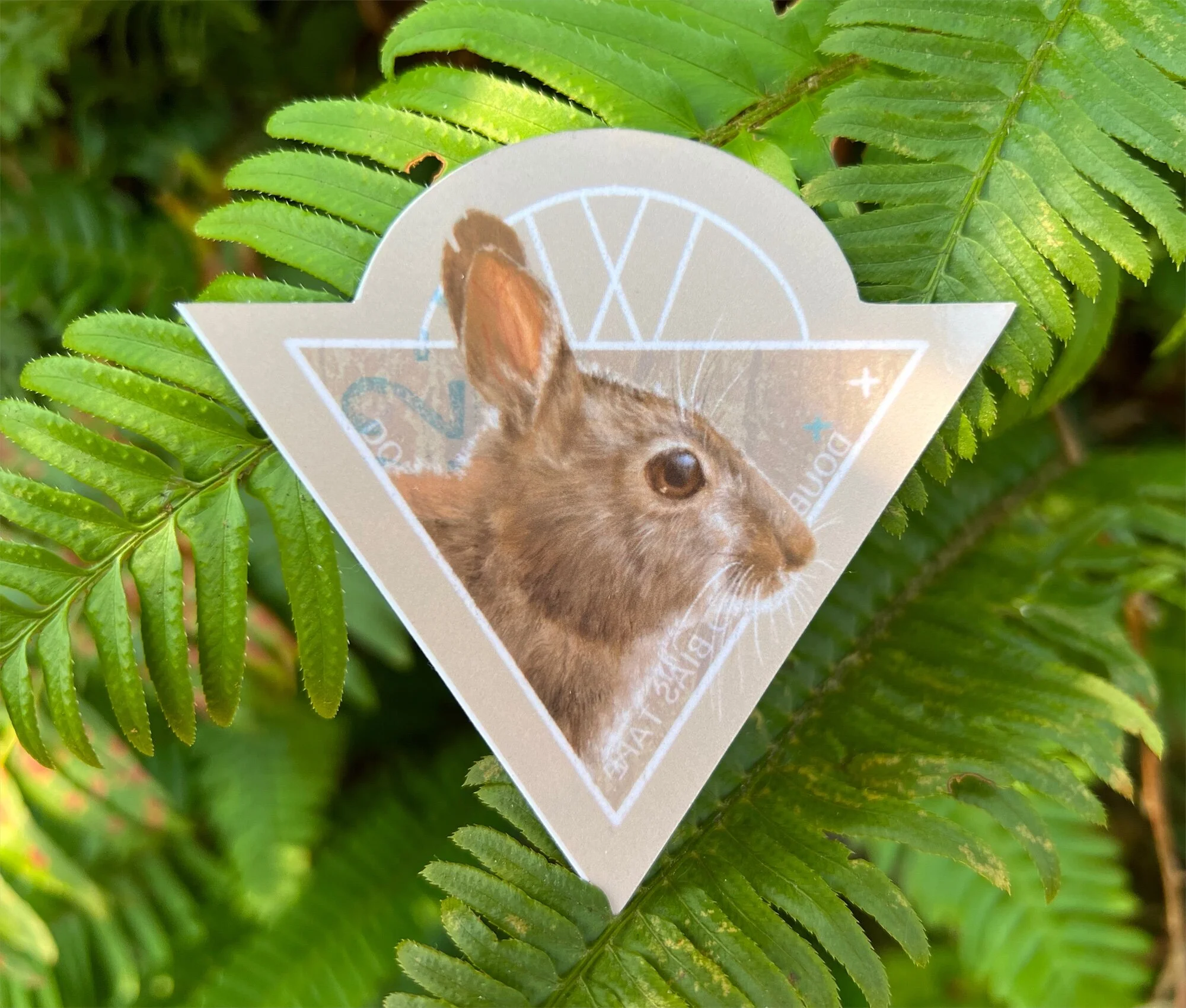 3E5F240A-AC39-479D-8F9D-485DDEF423D8