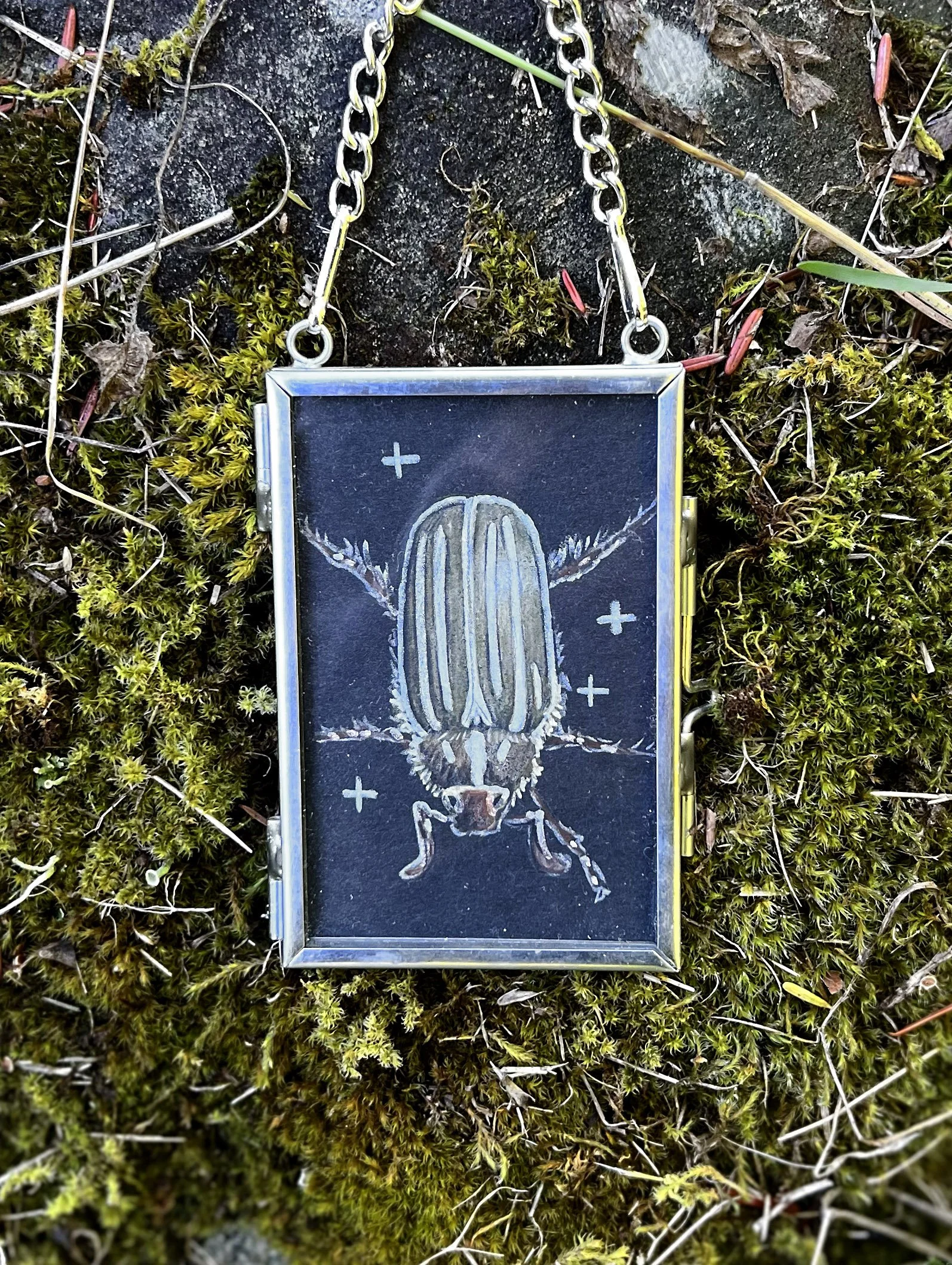Junebug study - colored pencil on black paper