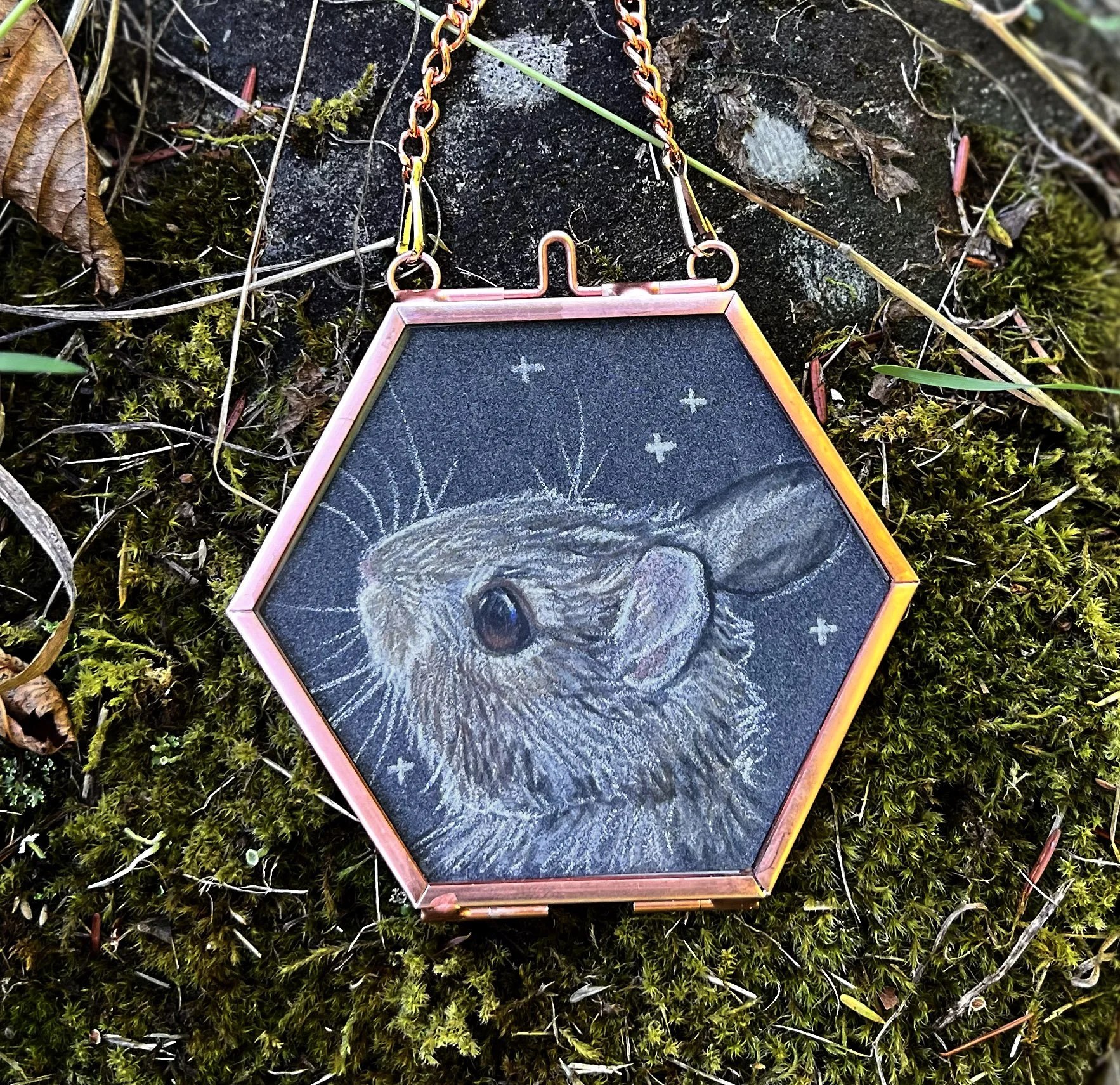 Bunny study - colored pencil on black paper
