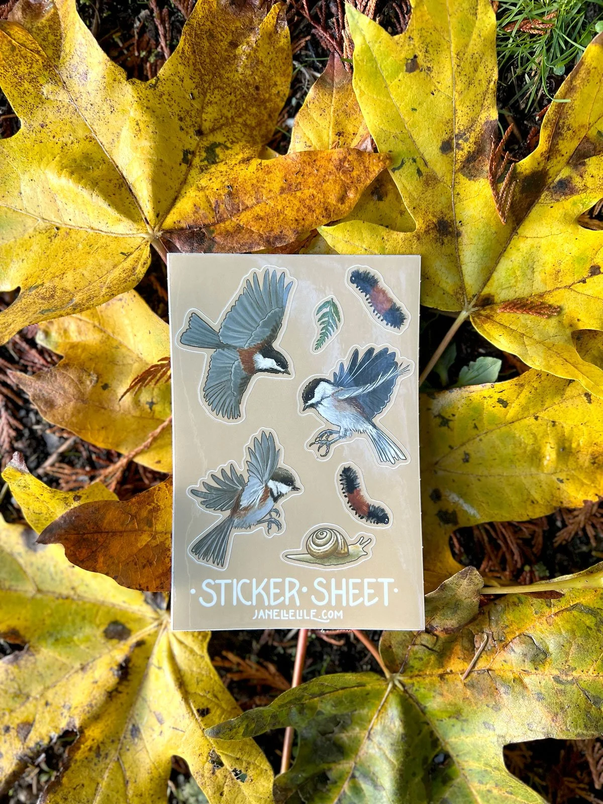 chickadee-sticker-sheet.jpg