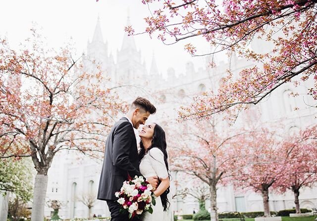 Missed shooting in the blossoms this year. So I&rsquo;m just living through my past spring weddings 💕🌸 happy anniversary you two!