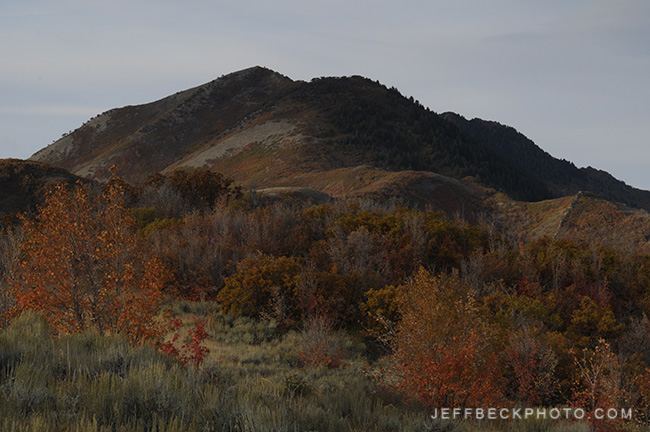 The Way Back, Emigration Canyon, Utah