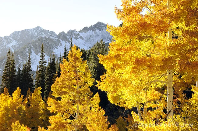 October Gold, Little Cottonwood Canyon, Utah