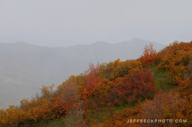 Autumn Evening Showers, Mountain Dell Canyon, Utah