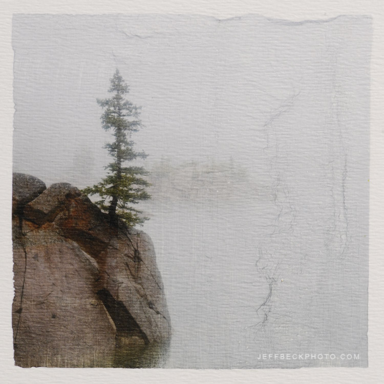 Zen Tree (Pigment Transfer to Board), Lake Mary, Wasatch National Forest, Utah