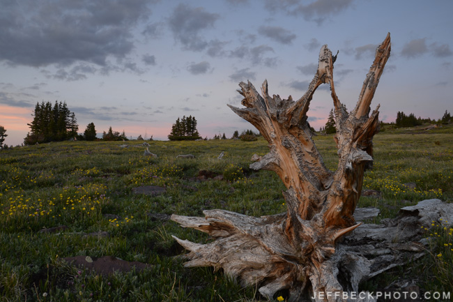 Last Stand, High Uintas Wilderness, Utah