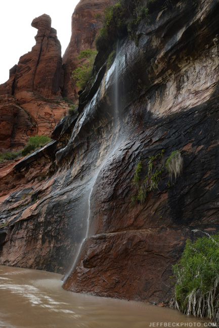 Spring waterfall, Coyote Gulch, Glen Canyon NRA, Utah
