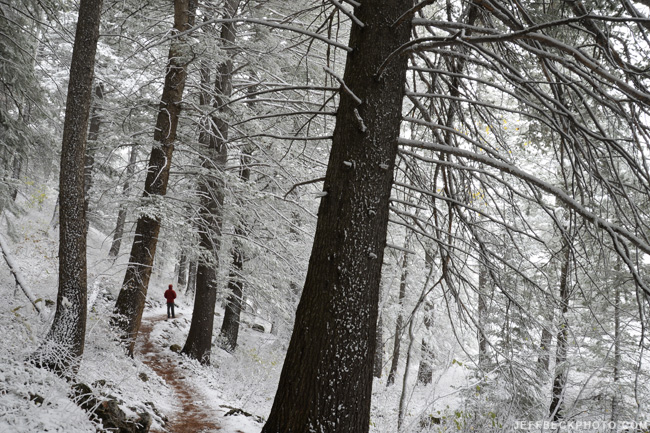 Self Portrait, Mill D North Fork Trail, Big Cottonwood Canyon, Utah