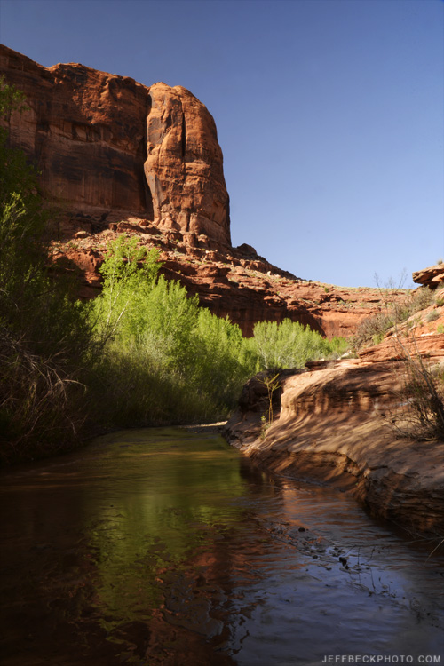 Harris Wash near its confluence with the Escalante River.