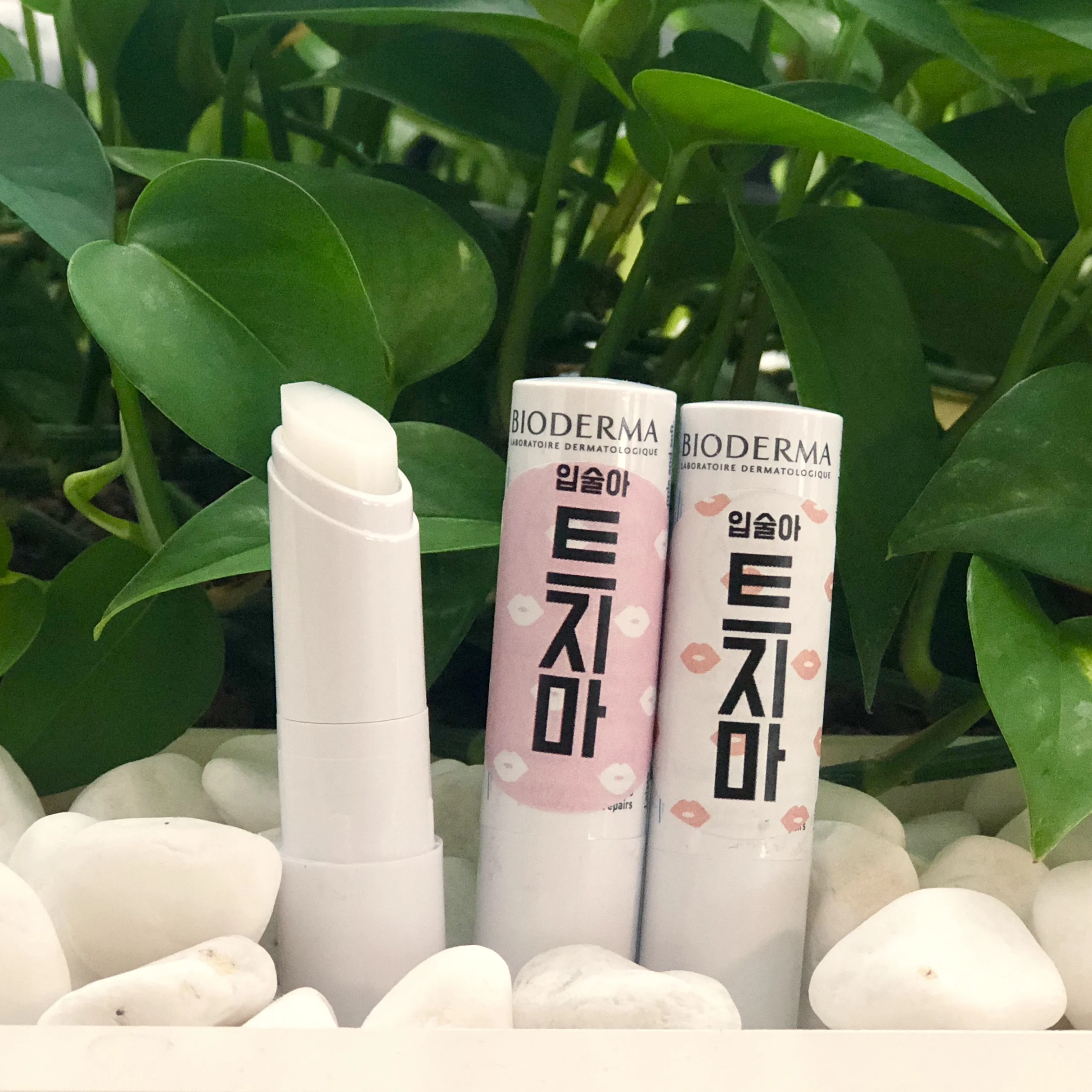 2018년 이오데이_2.jpg