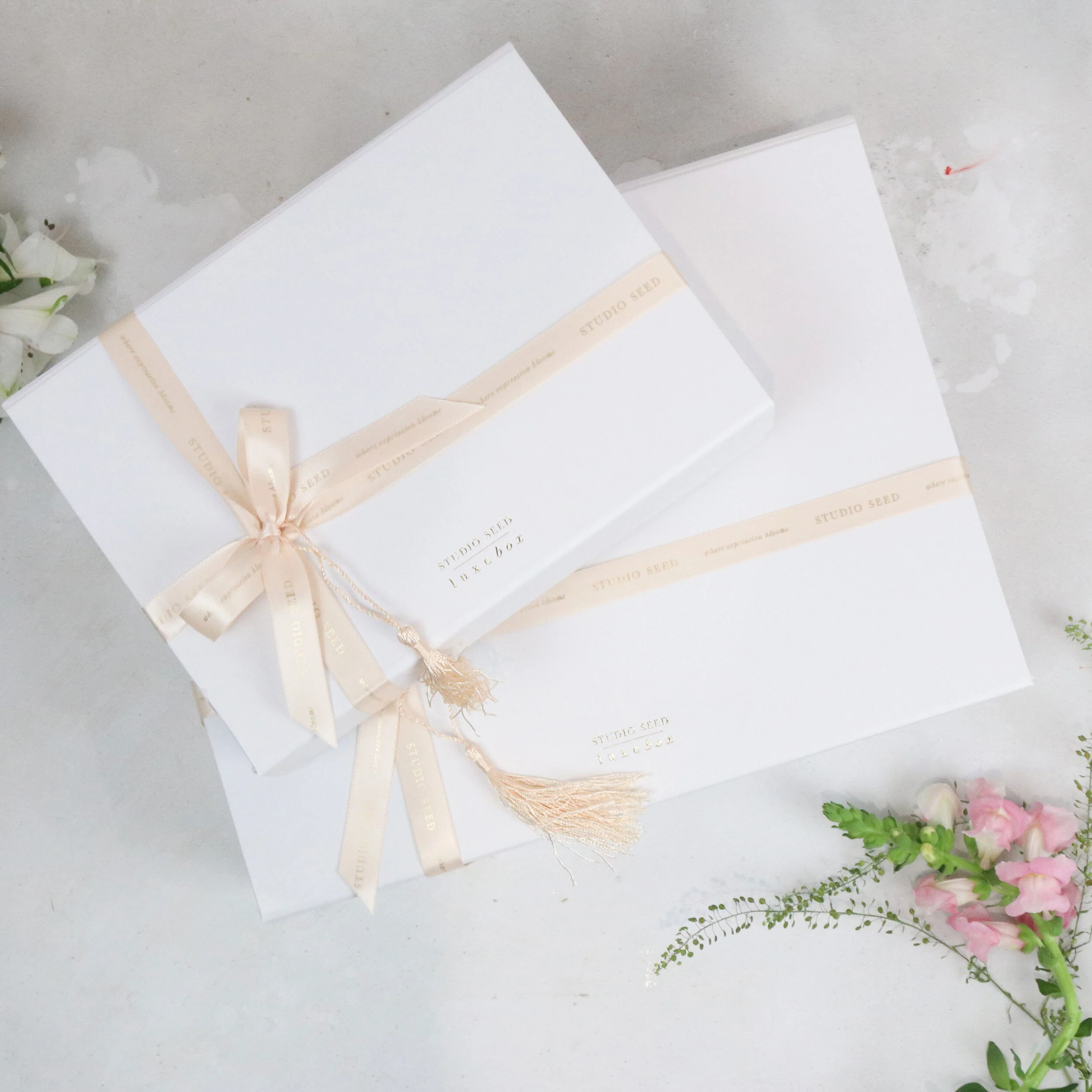 Studio-Seed-LuxeBox-Packaging-1.jpg